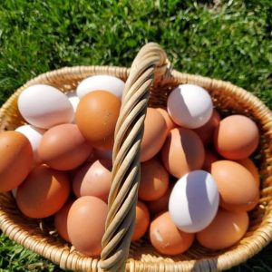 Farm Fresh Eggs